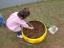 Plantação das cebolas pelas crianças de 3 anos.